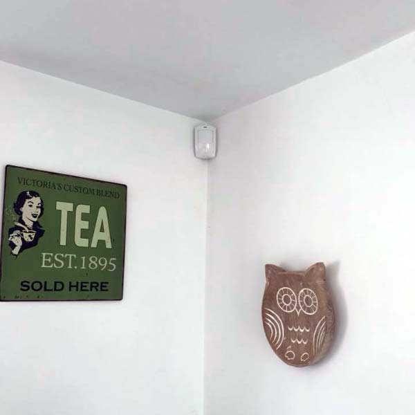 burglar alarm system